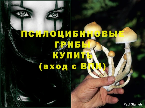 PSILOCYBIN Абдулино